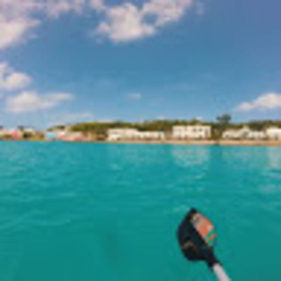 Meet your Posher, Alexa - Picture 1 of 1